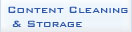 Content Cleaning and Storage
